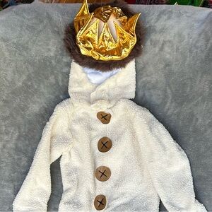 Max (from Where the Wild Things Are) Costume